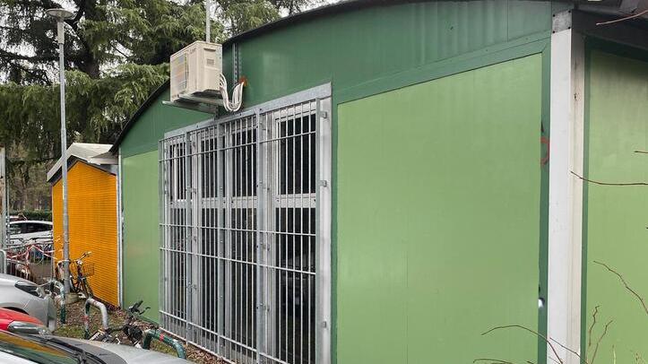 Svastiche e simboli nazi-fascisti ripulita l’area di via Cecati