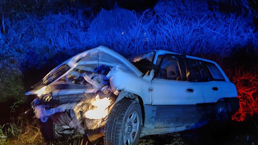 Carpineti, auto fuori strada: muore il cane