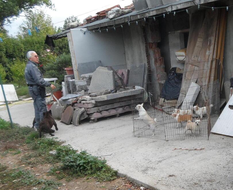 Il sopralluogo della polizia provinciale nel casolare di Casale dove erano tenuti i cani