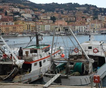 Costi alti e attività bloccate: 200 pescatori in ginocchio