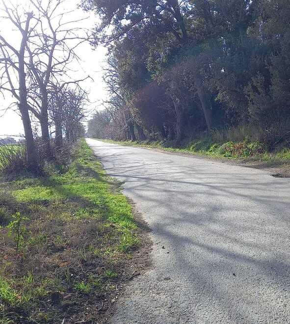 Studenti pendolari lasciati a piedi l’autista del bus ha sbagliato strada L’azienda: «Chiediamo scusa»