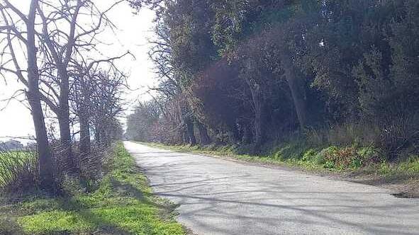 Studenti pendolari lasciati a piedi l’autista del bus ha sbagliato strada L’azienda: «Chiediamo scusa»