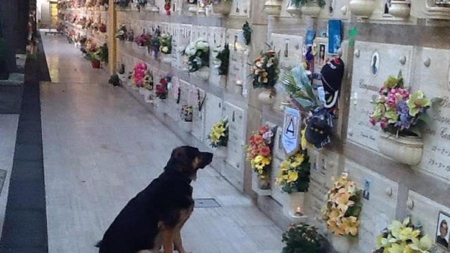 Raccolta fondi per un parco inclusivo in ricordo di Kyra