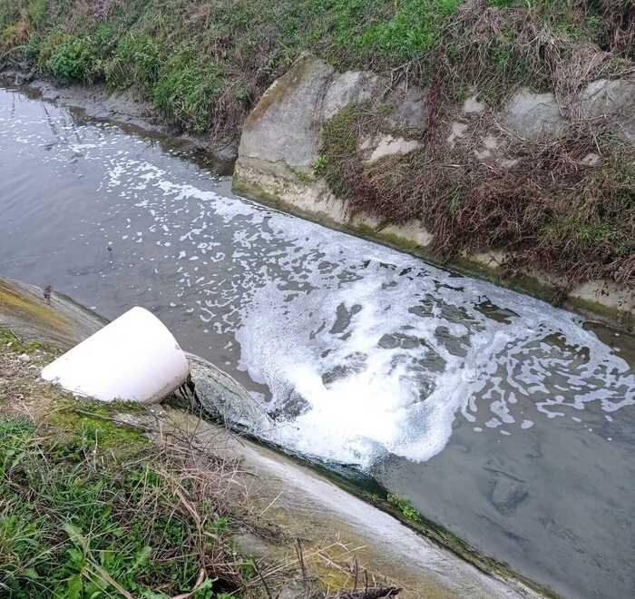 San Cesario, canal Torbido: ancora schiuma dallo scarico