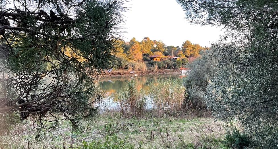 Castiglioncello, si ripulisce il laghetto delle Spianate ma sono 5 anni che il parco resta chiuso