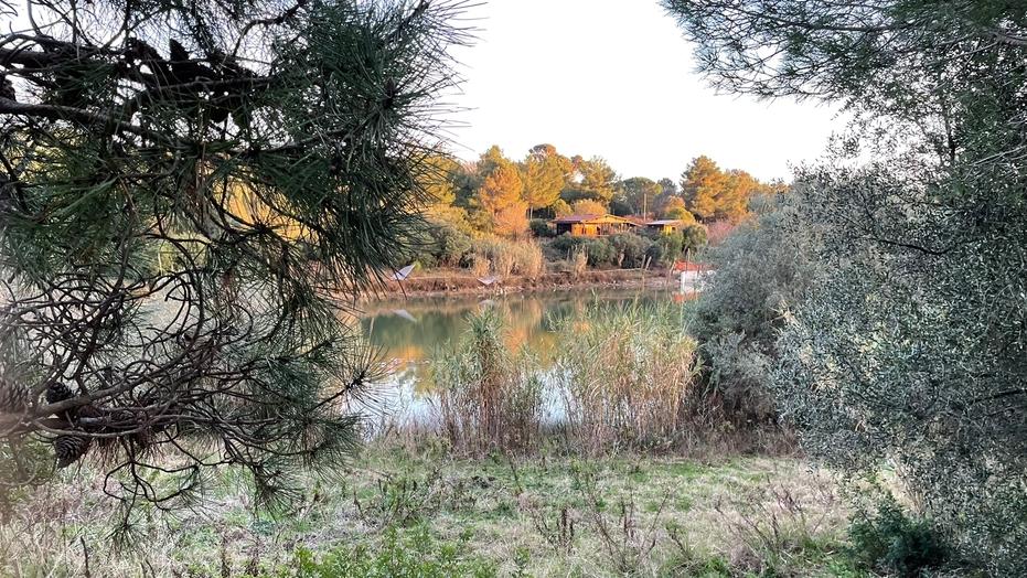 Castiglioncello, si ripulisce il laghetto delle Spianate ma sono 5 anni che il parco resta chiuso