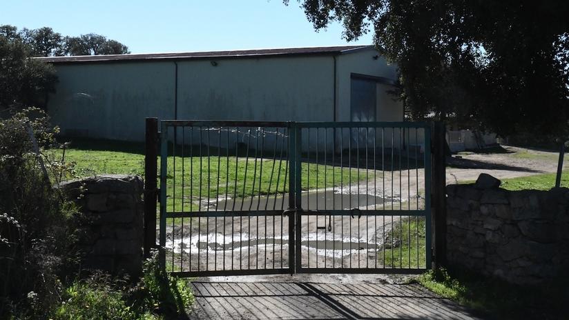 Nuoro, omicidio Giobbe: dissidi familiari per terreni di proprietà mai divisi