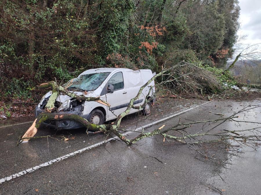 Maltempo, Montelupo: albero cade sulla strada e travolge un furgone
