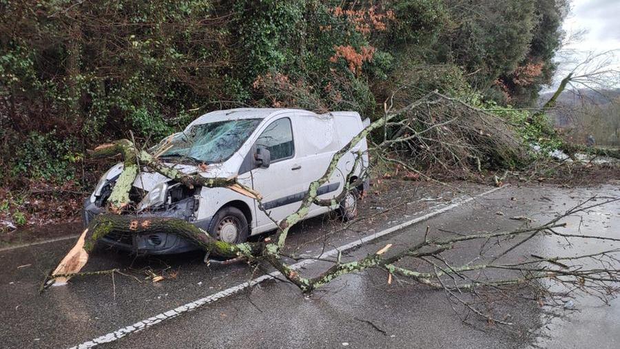Maltempo, Montelupo: albero cade sulla strada e travolge un furgone