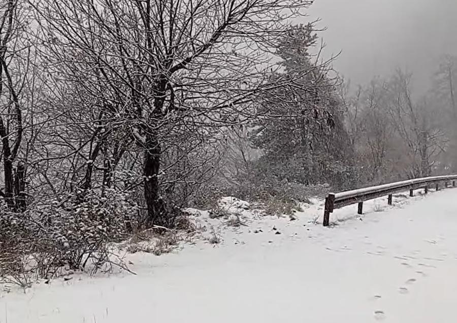 
	Neve all'Acquerino (Pistoia) - Foto tratta dal video di Rete Meteo Amatori del 18 gennaio 2023

