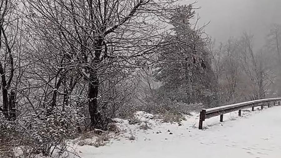 Neve all'Acquerino (Pistoia) - Foto tratta dal video di Rete Meteo Amatori del 18 gennaio 2023