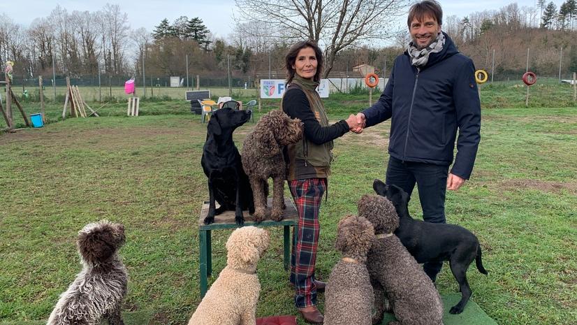 A Roccastrada lezioni cinofile gratuite per chi adotta da un canile