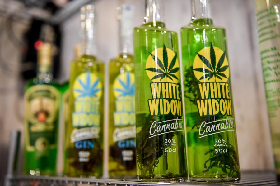 
	Alla Fiera internazionale della cannabis di Milano vengono commercilizzati anche profumi e intere linee beauty

