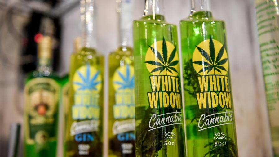 Alla Fiera internazionale della cannabis di Milano vengono commercilizzati anche profumi e intere linee beauty