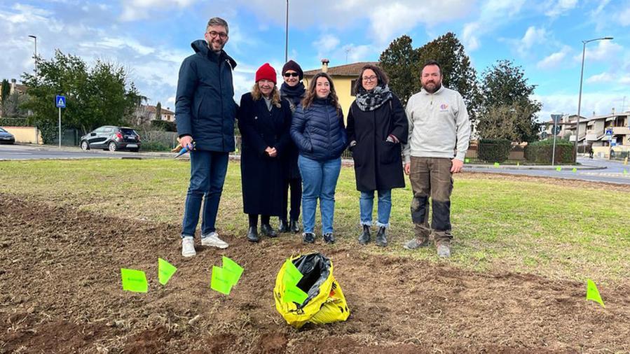 Trentamila bulbi di tulipano: un giardino diffuso a Poggio