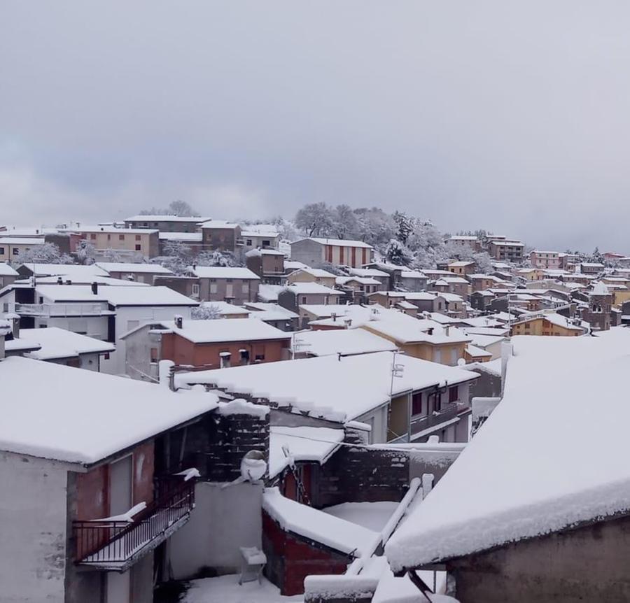 
	Neve in Barbagia, uno scatto su&nbsp;Ollolai

