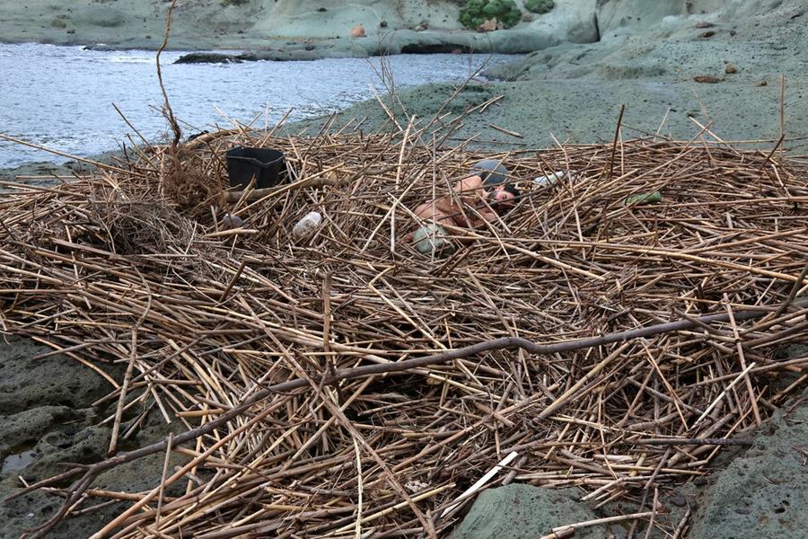 
	Una delle performance artistiche di Nicola Mette

