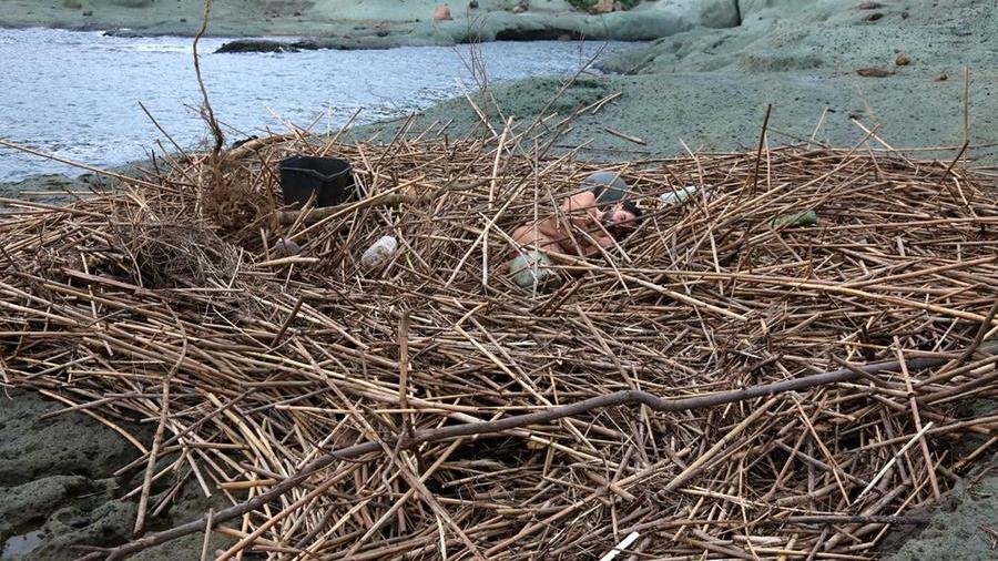 Una delle performance artistiche di Nicola Mette