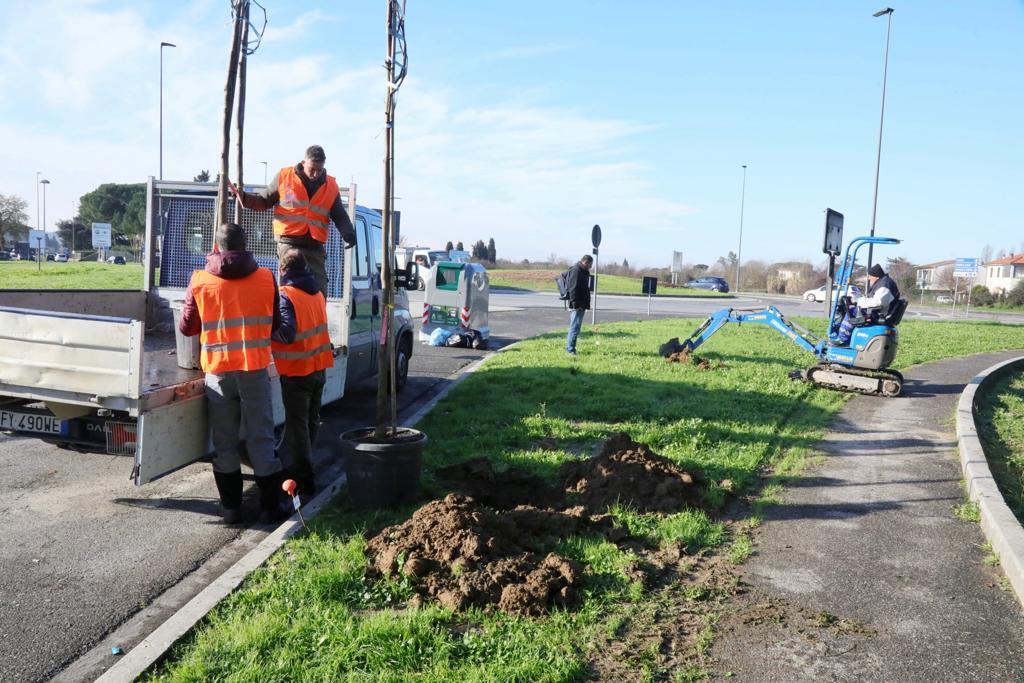 Al via il maxi piano del verde a Empoli: ecco quasi 2mila nuove piante