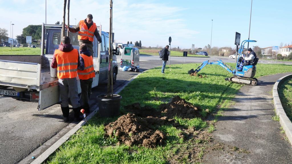 Al via il maxi piano del verde a Empoli: ecco quasi 2mila nuove piante