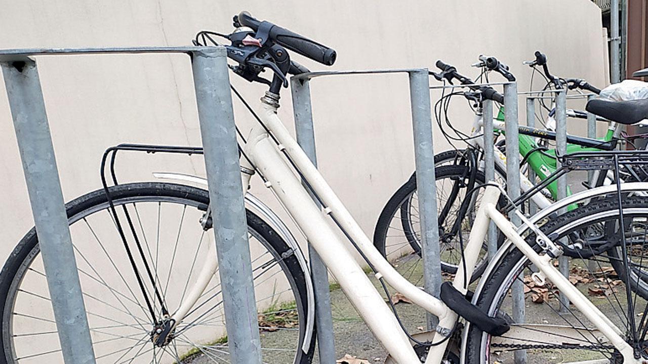 Prato, sessanta bici abbandonate in città: ora avranno una seconda vita