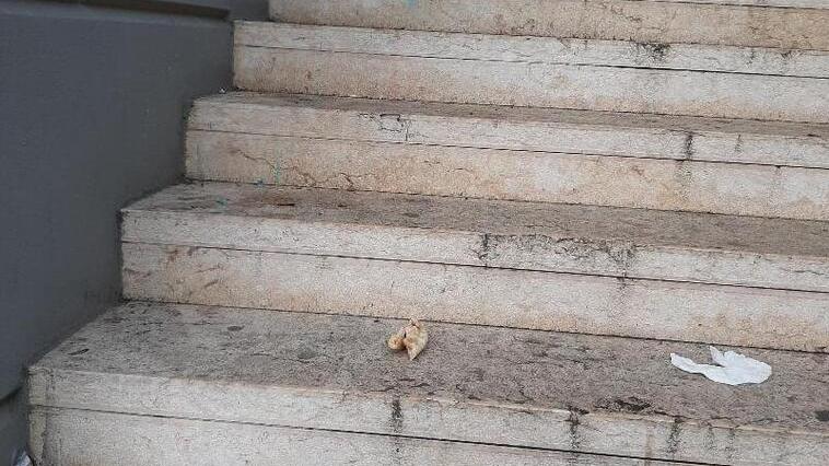 La scala del municipio coperta di rifiuti
