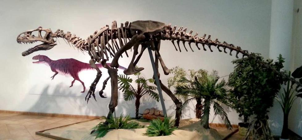 Candidata a capitale della cultura: sfratto al museo naturalistico 