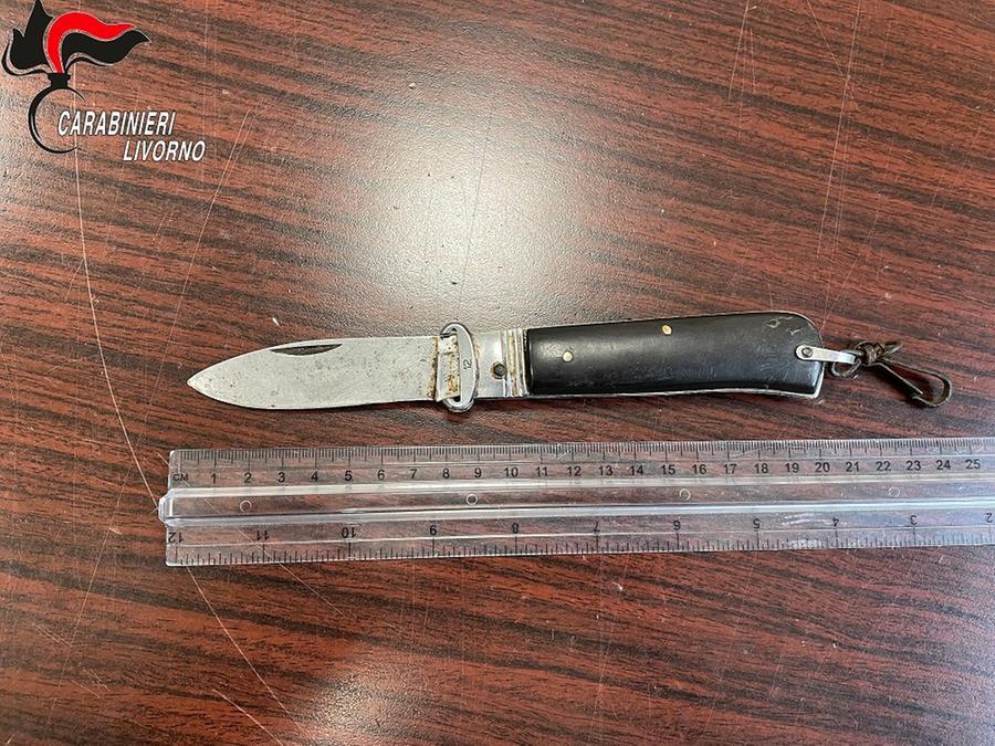 Girava in furgone con un coltello accanto al sedile, denunciato