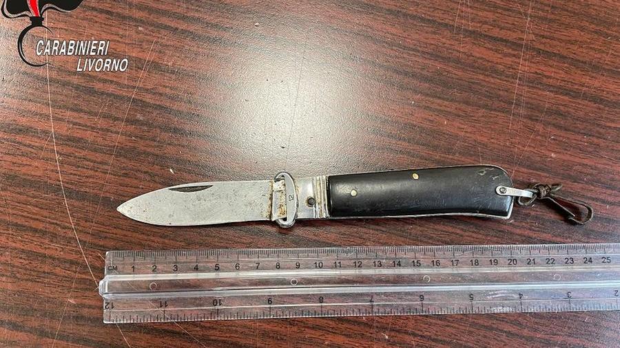 Girava in furgone con un coltello accanto al sedile, denunciato