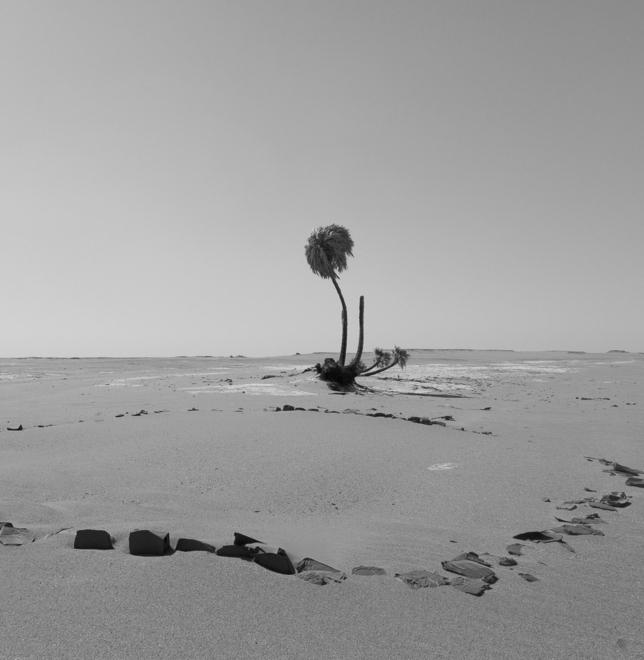 Da Carpi al deserto e ritorno con le immagini di Roberto Cattini