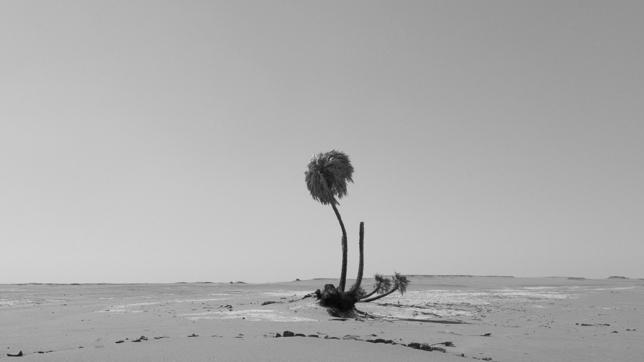 Da Carpi al deserto e ritorno con le immagini di Roberto Cattini