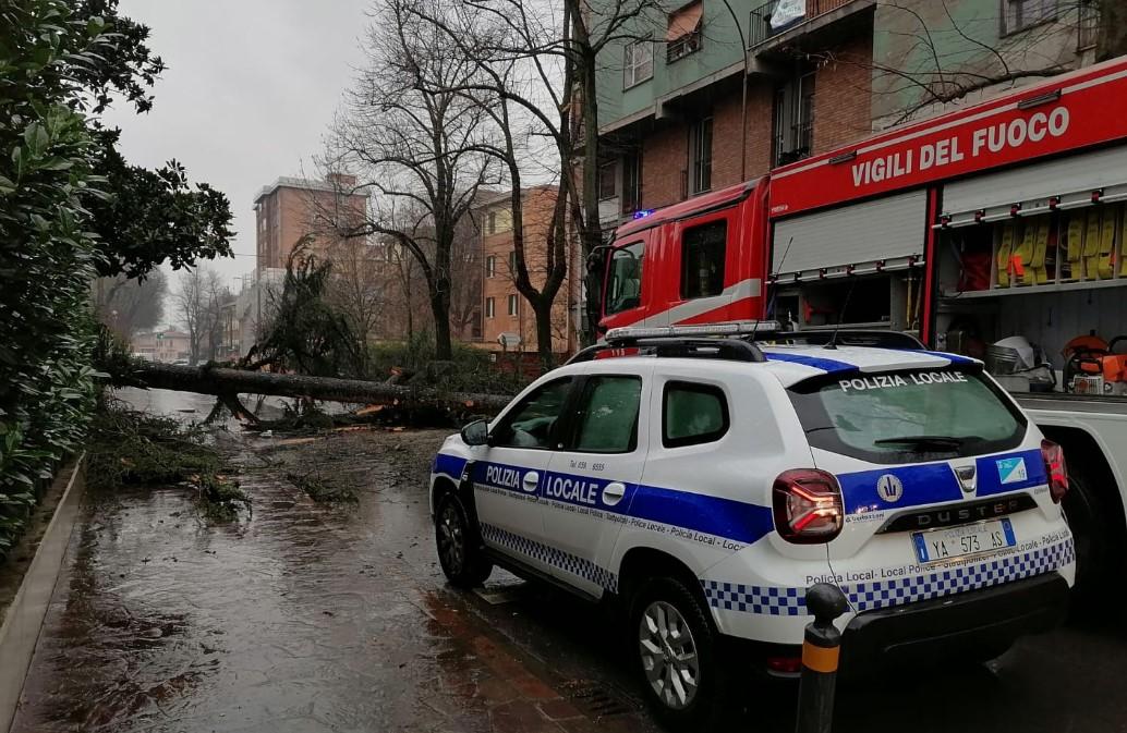 A Carpi cade un albero sopra un’auto Bus e camion rovesciati a bordo strada
