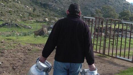 Figli di emigrati dietro i banchi per imparare a fare i pastori