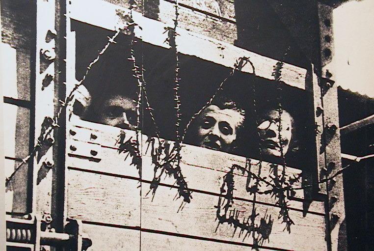 «A cosa serve la Memoria?», mille risposte in musica e parole – il programma delle iniziative in Versilia