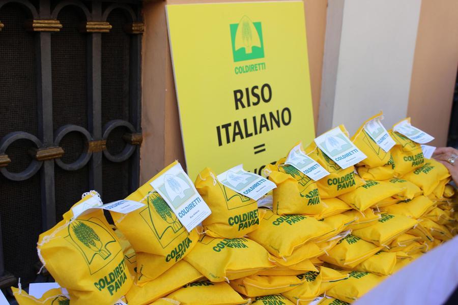 
	Riso, il sostegno della Coldiretti


