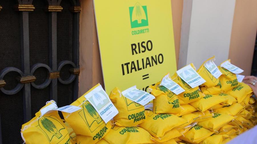 Riso, il sostegno della Coldiretti