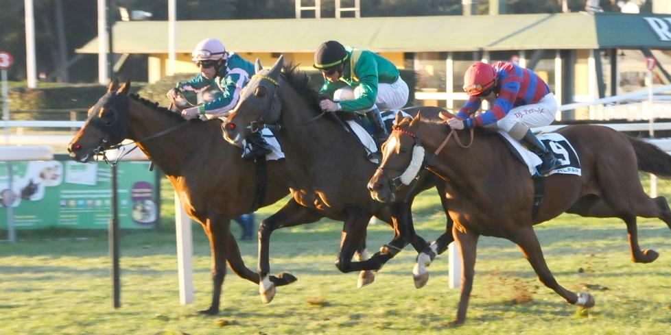 Il “Cavalieri di Santo Stefano” è il Premio clou oggi a San Rossore