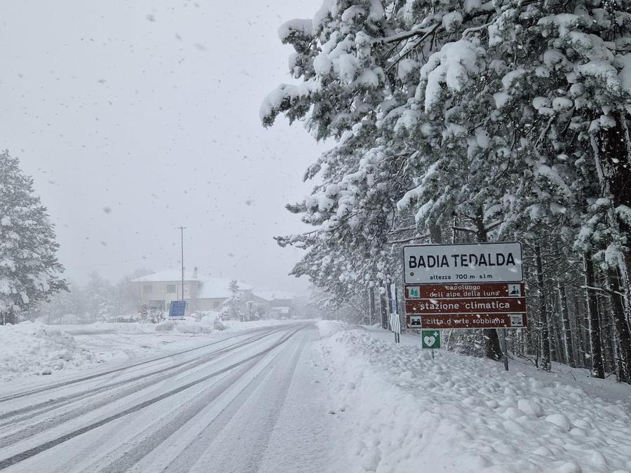 
	Badia Tedalda sotto la neve (foto Arezzo Meteo)

