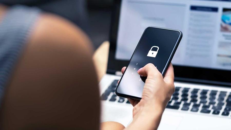 Ferrara, decine di mail bloccate: «Libero mail, chiediamo i danni»