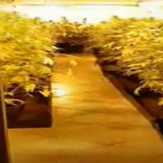 Modena. Una cascina sotto sequestro nel blitz antidroga in Europa 