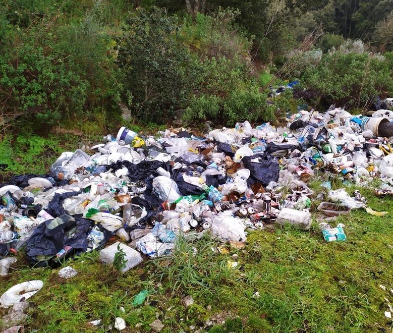 A Sassari il primato dei reati ambientali, isola sotto attacco: servono più mezzi 