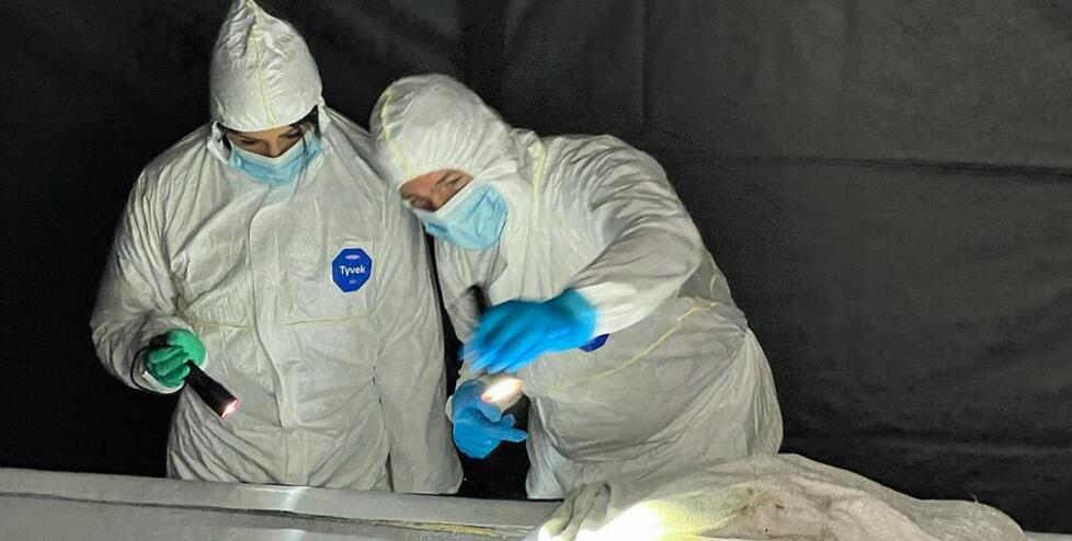 I misteri del lungomare di Olbia: un cadavere, forse due 