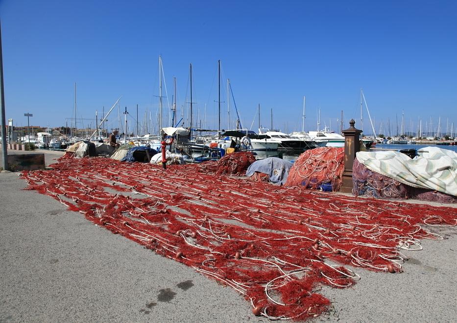 Pescatori di Alghero, accordo con il Parco: durante il fermo biologico si occuperanno di formazione e raccolta rifiuti 