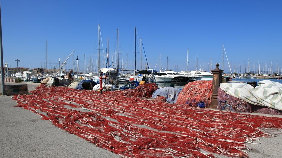 Pescatori di Alghero, accordo con il Parco: durante il fermo biologico si occuperanno di formazione e raccolta rifiuti 
