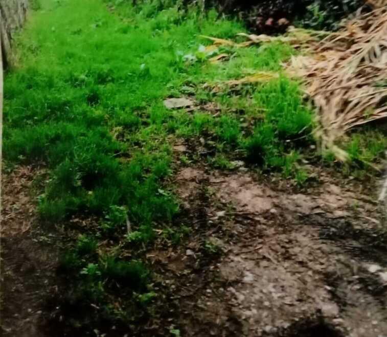 L’Arci Turano vuole la Variante «Macché agricoltura, solo canneti»