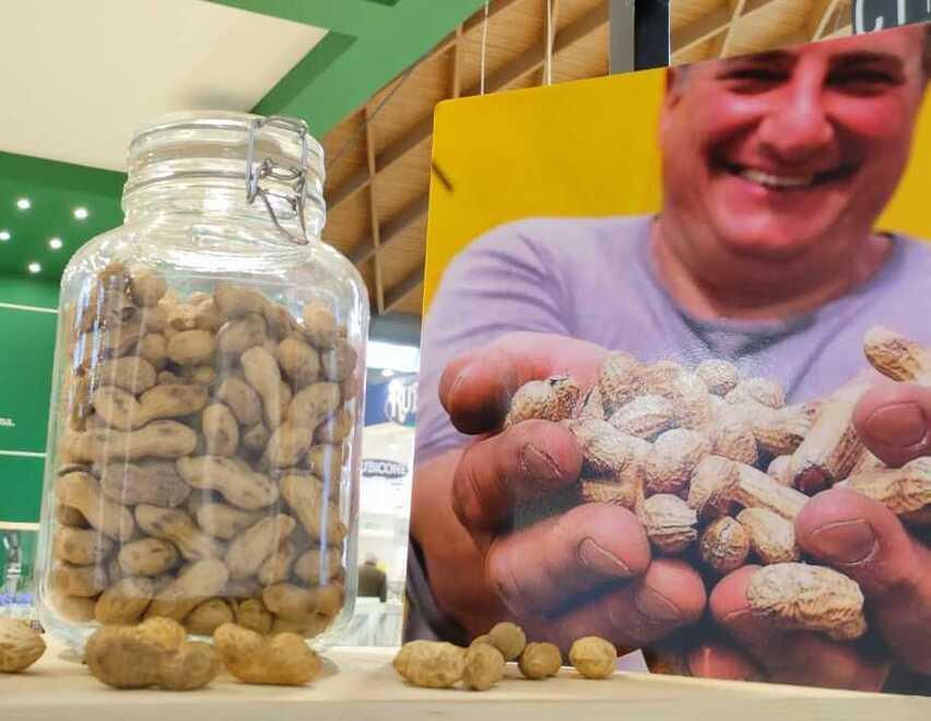 La nocciolina di Venturina diventata gelato ed è protagonista alla fiera di Rimini
