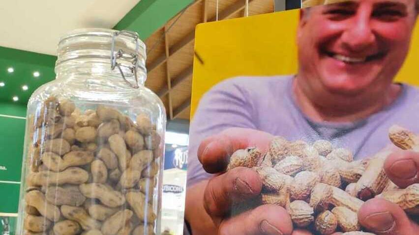 La nocciolina di Venturina diventata gelato ed è protagonista alla fiera di Rimini