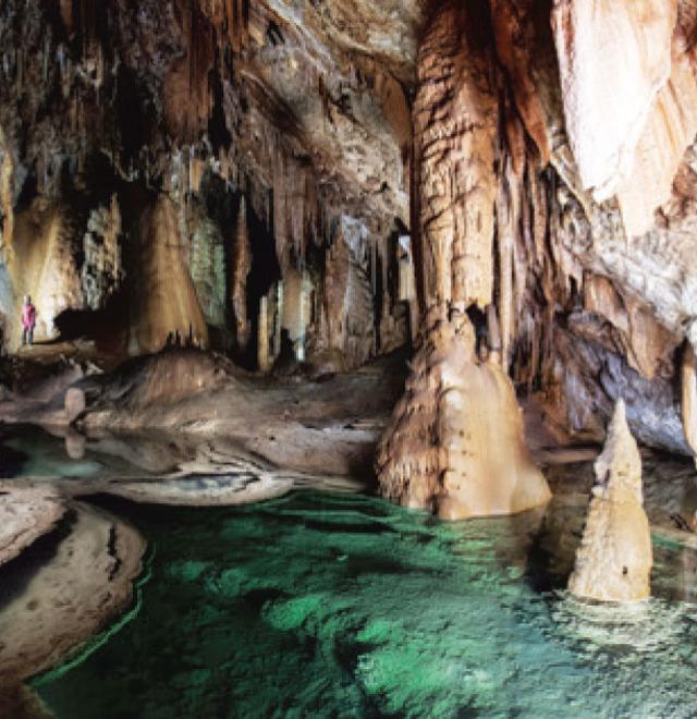 Tutti pazzi per la Grotta di Nettuno: è ancora il sito più gettonato dell’isola