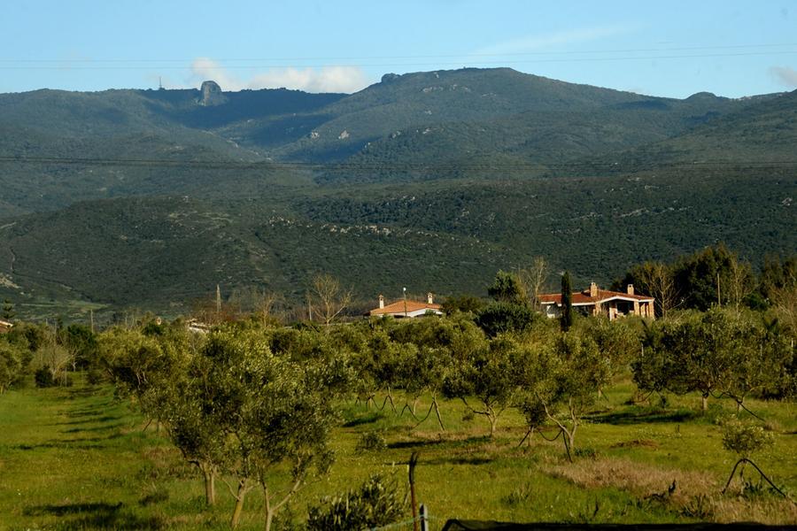 
	Una immagine dell'agro di Marrubiu (foto F.G.Pinna)

