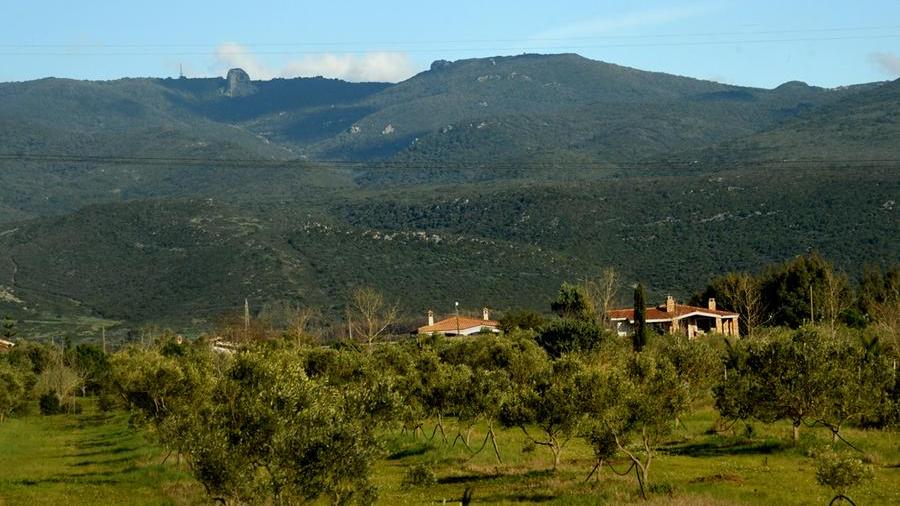 Una immagine dell'agro di Marrubiu (foto F.G.Pinna)